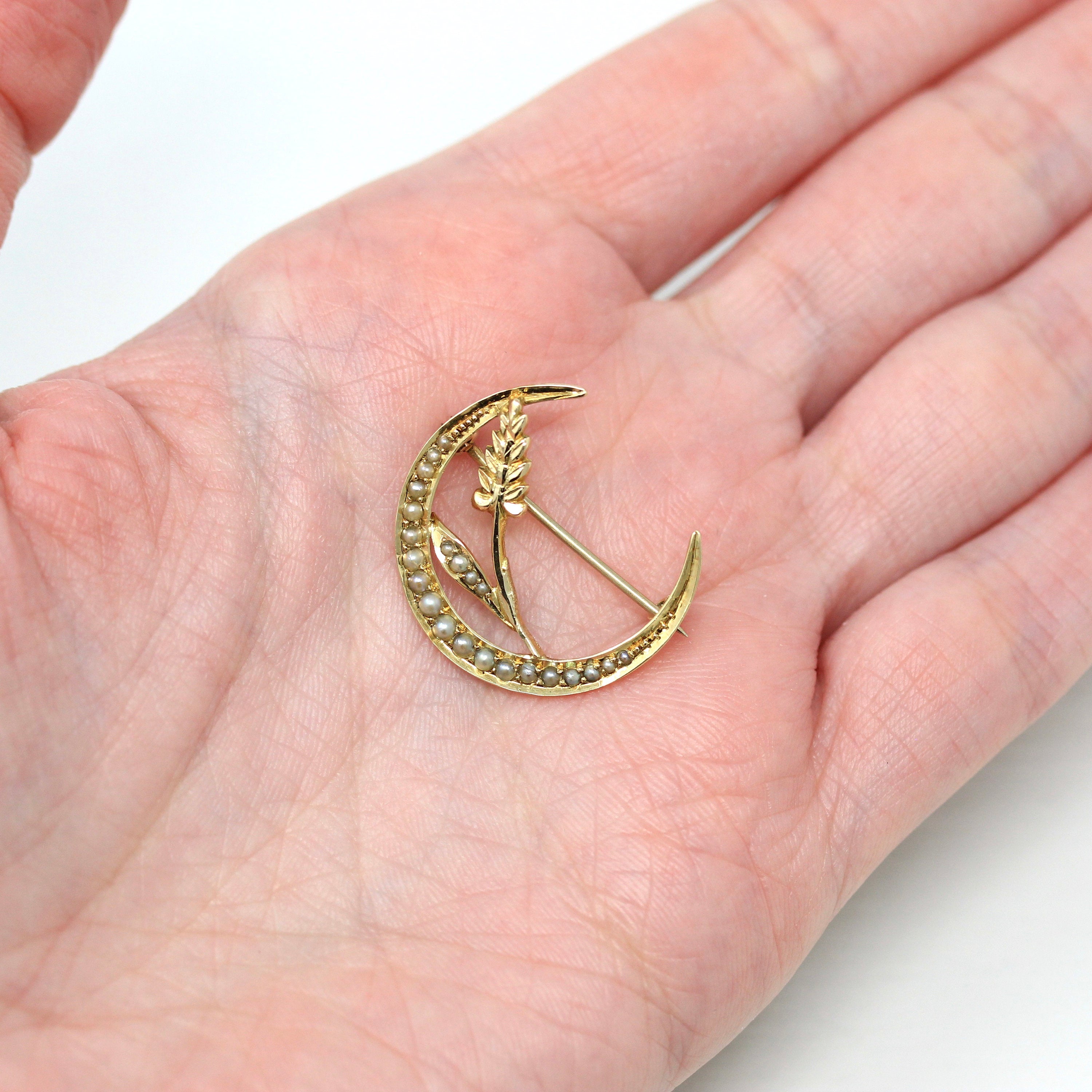 14K good Celestial Pin