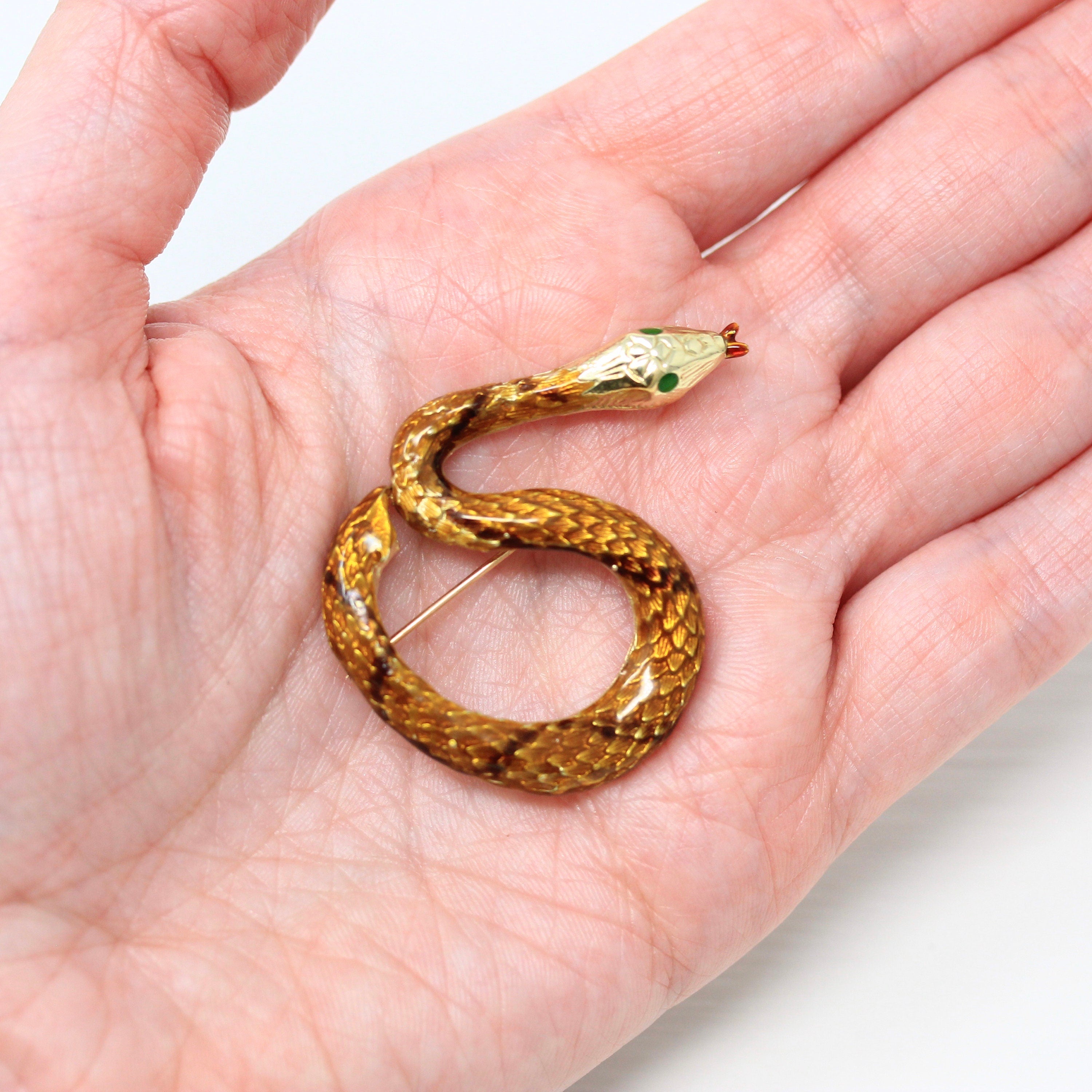 Vintage Snake Brooch 2024